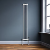 Traditional 2 Column Radiator - 1800 x 202mm - White