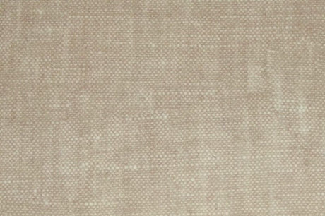 Raffles Beige / SR16307 (Per Metre)