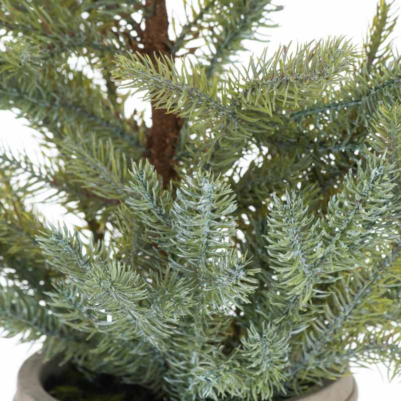 Garda Pine Tree In Stone Pot