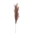 Taupe Large Faux Pampas Grass Stem