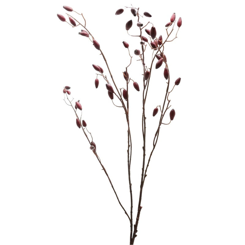 Burgundy Rosehip Stem