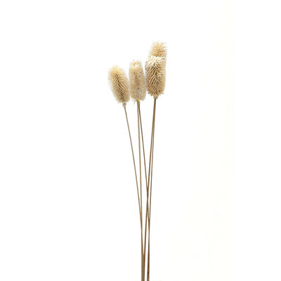 Dried Flowers product image