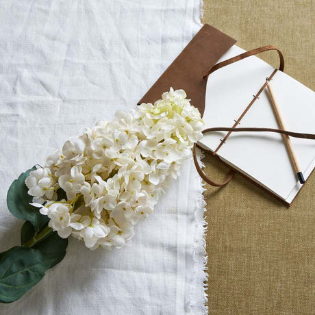 White  Spear Hydrangea