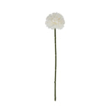 White Short Chrysanthemum