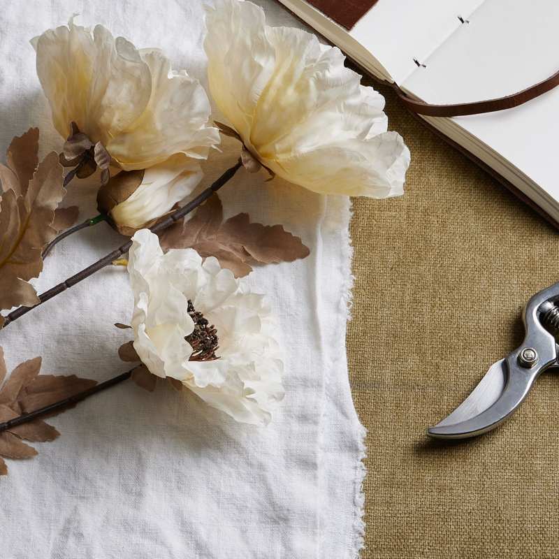 Large White Poppy Stem