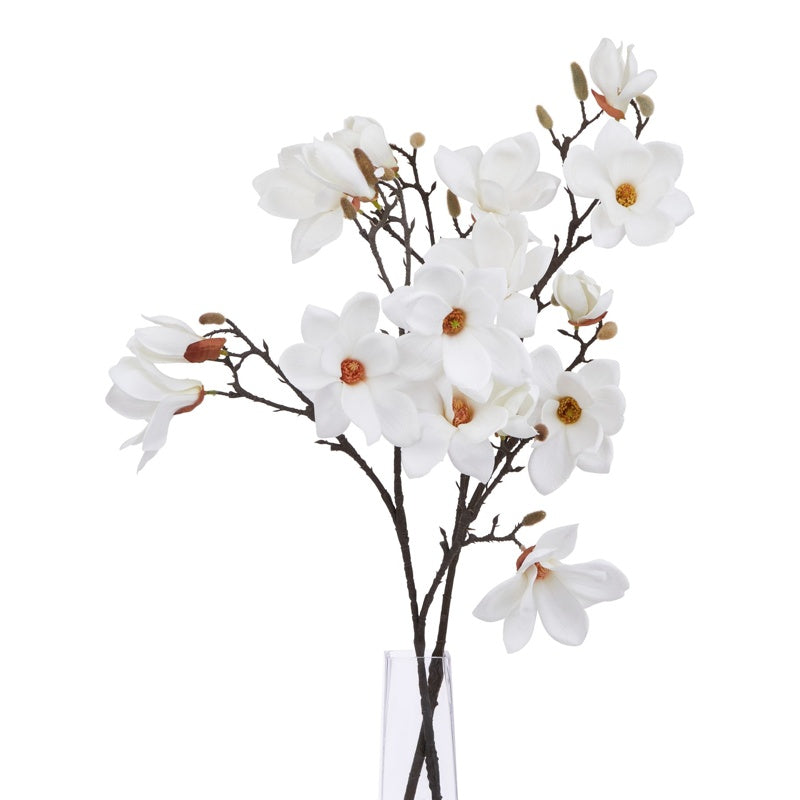 The Natural Garden Collection White Magnolia Stem