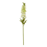 The Natural Garden Collection White Elatum Delphinium