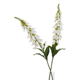 The Natural Garden Collection White Foxglove