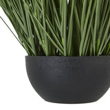 Large Onion Grass Plant In Pot