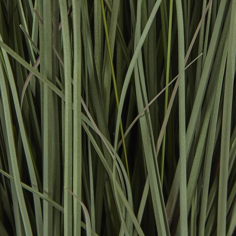 Large Fountain Grass Plant In Pot