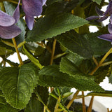 Medium Purple Hydrangea Plant In Pot