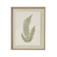 Fern Art On Texture-Torn Paper With Beaded Frame