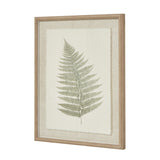 Bracken Art On Texture-Torn Paper With Beaded Frame