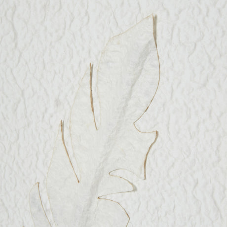 Solli White Feathers Art Mounted In Beaded Frame