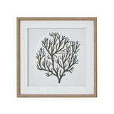 Atol Coral Art Mounted In Beaded Frame