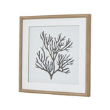 Reef Coral Art Mounted In Beaded Frame