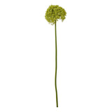 Green Giant Allium Stem