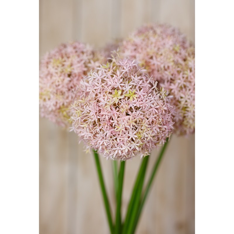 Lilac Medium Allium Stem