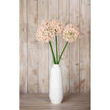 Pink Medium Allium Stem