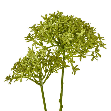 Green Crown Hydrangea Stem