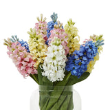 Blue Hyacinth Stem