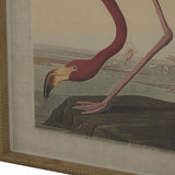 Flora & Fauna Collection Flamingo On Linen In Beaded Frame