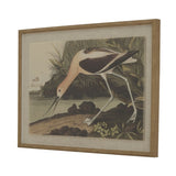 Flora & Fauna Collection Avocet On Linen In Beaded Frame