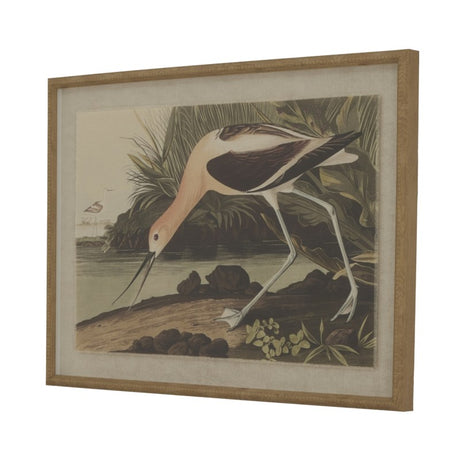 Flora & Fauna Collection Avocet On Linen In Beaded Frame