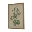 Flora & Fauna Collection Warblers On Linen In Beaded Frame