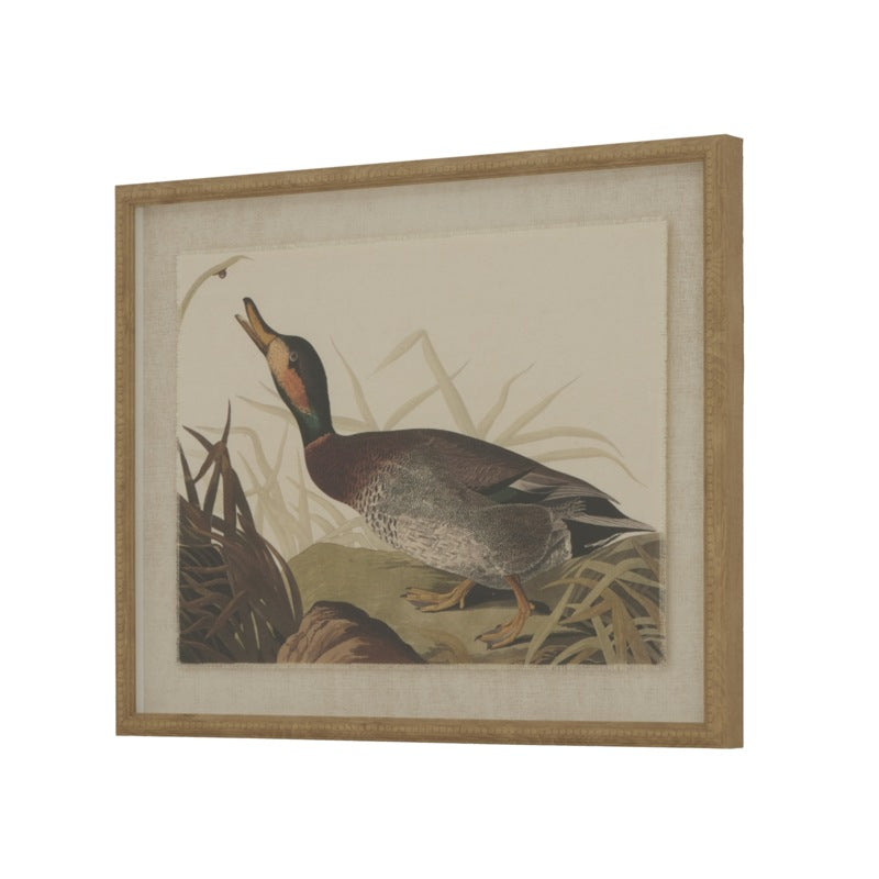 Flora & Fauna Collection Duck On Linen In Beaded Frame