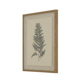 Flora & Fauna Collection Beech Fern On Linen In Beaded Frame