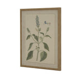 Flora & Fauna Collection Salvia On Linen In Beaded Frame