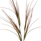 Brome Grass Spray