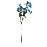 Blue Vernicia Fordii Spray