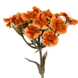 Orange Dianthus Spray