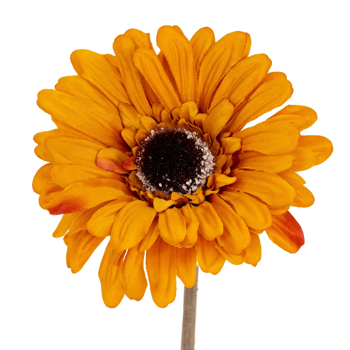 Orange Gerbera Stem