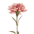 Pink Carnation Stem