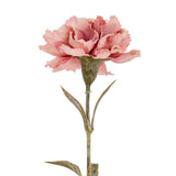 Pink Carnation Stem