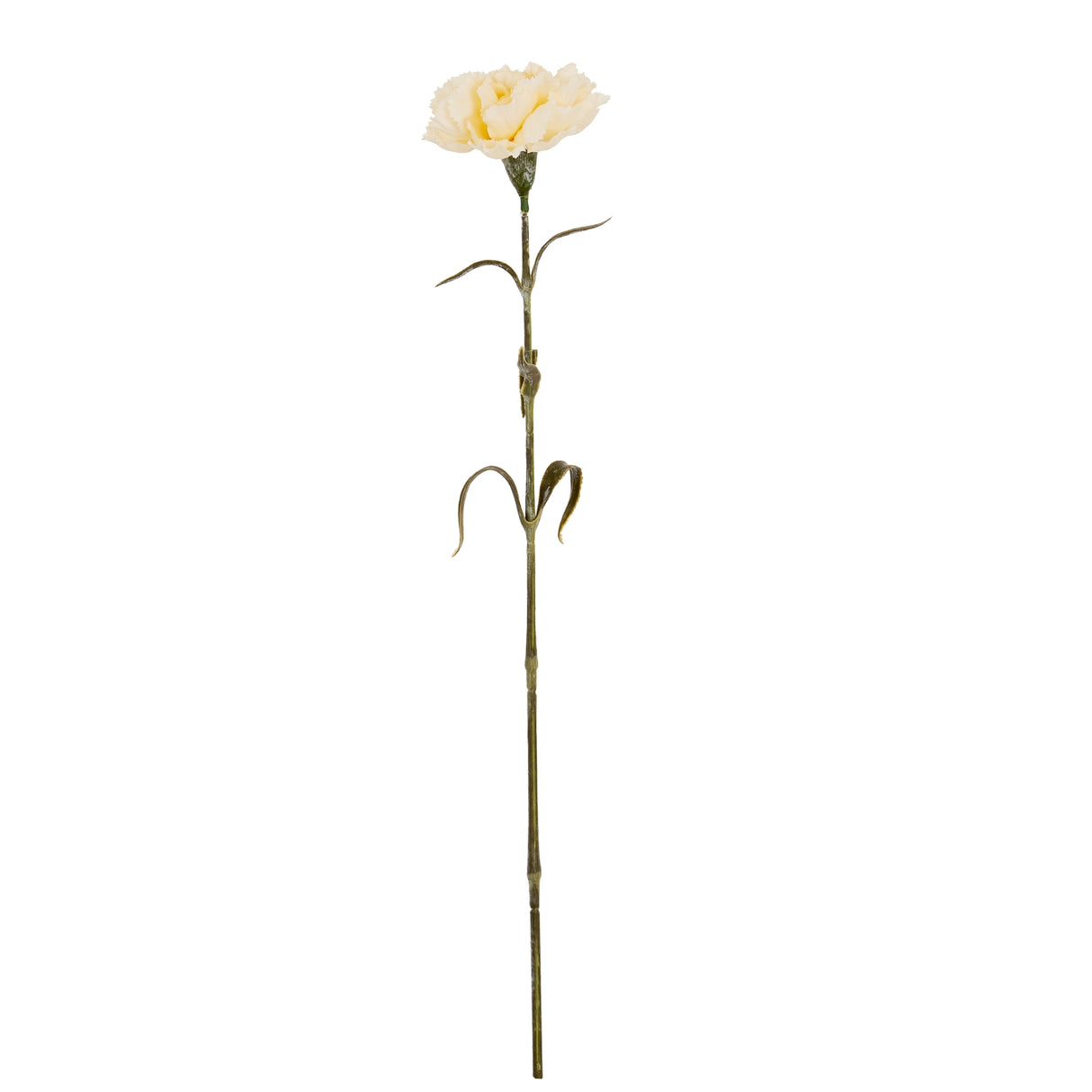 Cream Carnation Stem
