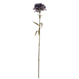 Purple Carnation Stem