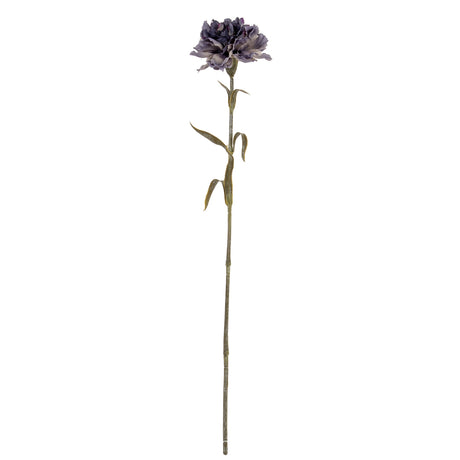 Purple Carnation Stem