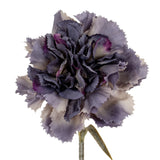 Purple Carnation Stem