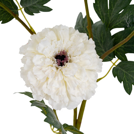 White African Marigold Large Spray