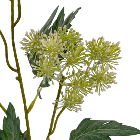 Green French Meadow Spray