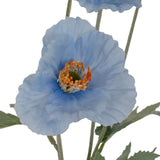 Blue Papaver Oppy Spray