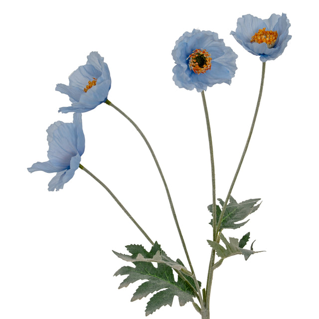 Blue Papaver Oppy Spray