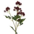 Purple French Meadow Spray