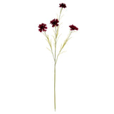 Burgundy Cornflower Stem