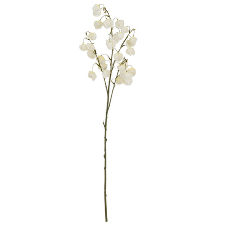 White Physalis Spray