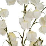 White Physalis Spray